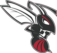 Heyworth High School logo